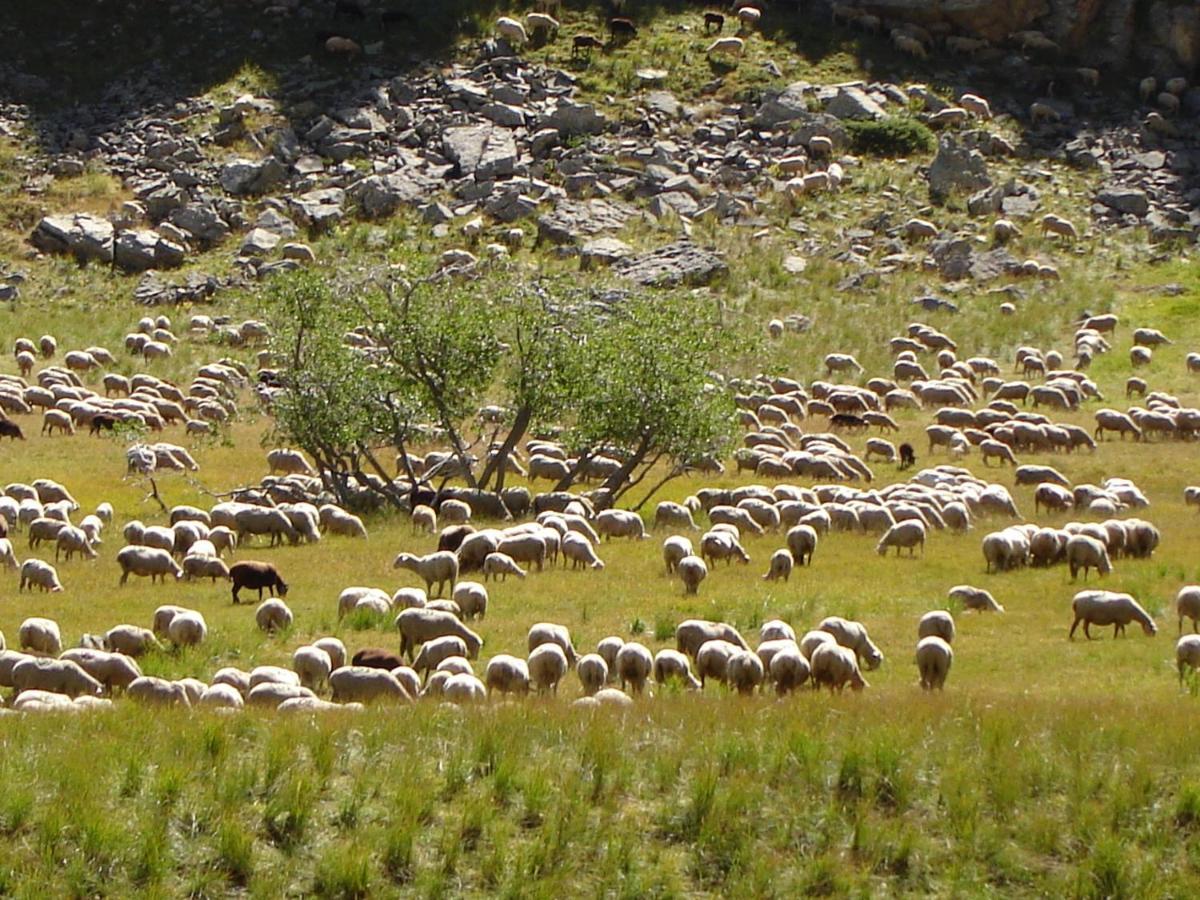 Saint-Dalmas-le-Selvage La Petite Etoile D'Hotes En Mercantour מראה חיצוני תמונה