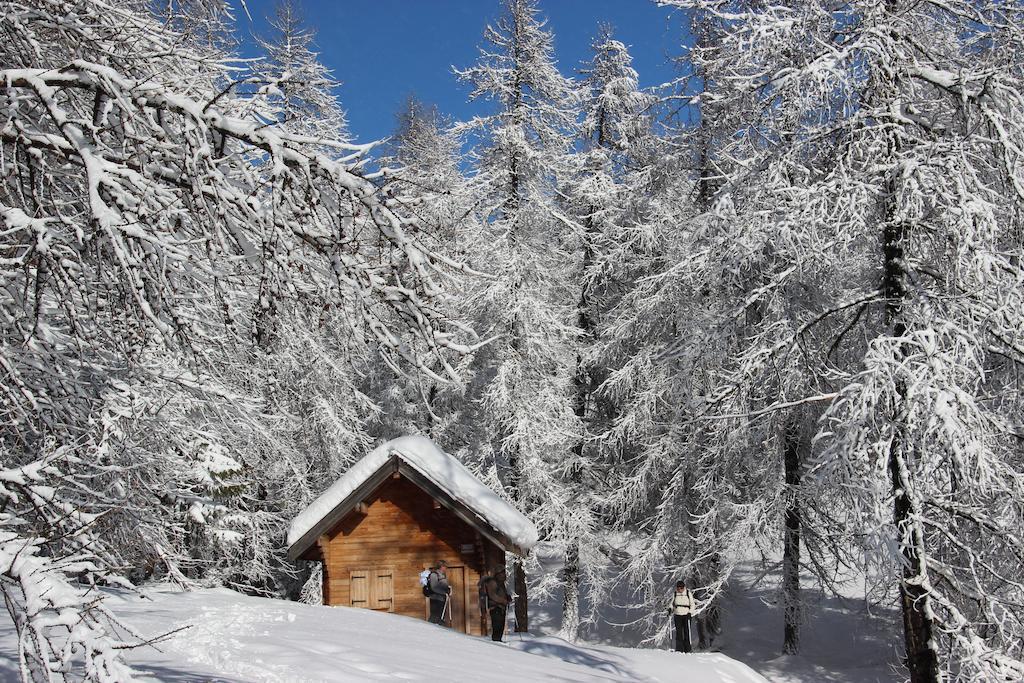 Saint-Dalmas-le-Selvage La Petite Etoile D'Hotes En Mercantour מראה חיצוני תמונה