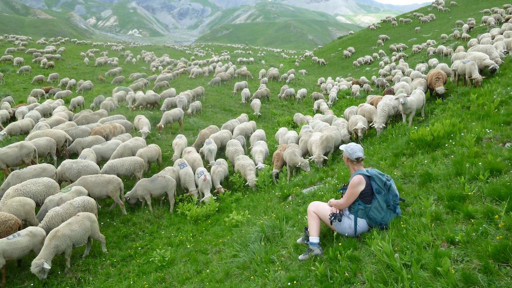 Saint-Dalmas-le-Selvage La Petite Etoile D'Hotes En Mercantour מראה חיצוני תמונה